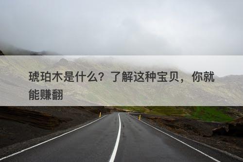 琥珀木是什么？了解这种宝贝，你就能赚翻