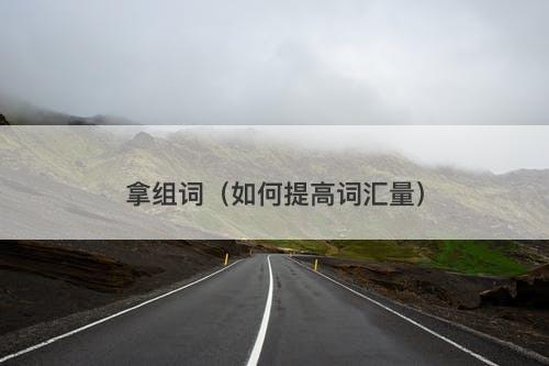 拿组词（如何提高词汇量）