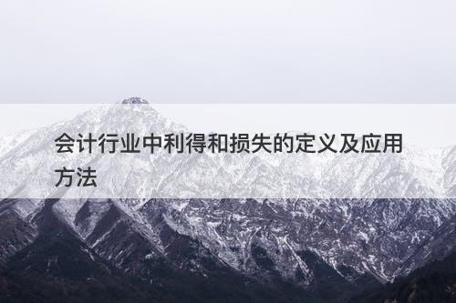 会计行业中利得和损失的定义及应用方法