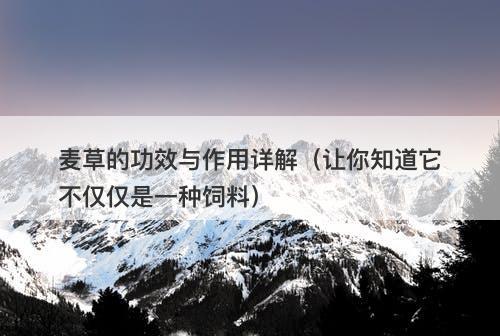 麦草的功效与作用详解（让你知道它不仅仅是一种饲料）