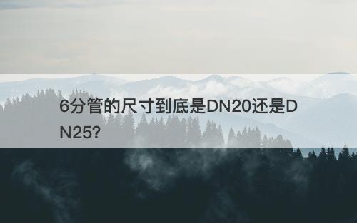 6分管的尺寸到底是DN20还是DN25？