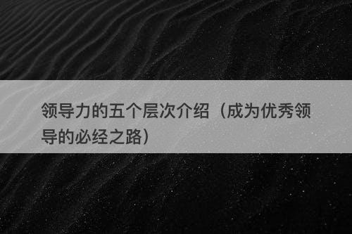 领导力的五个层次介绍（成为优秀领导的必经之路）