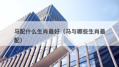 马配什么生肖最好（马与哪些生肖最配）