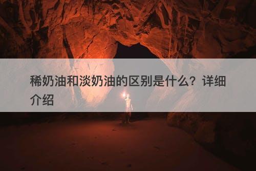 稀奶油和淡奶油的区别是什么？详细介绍
