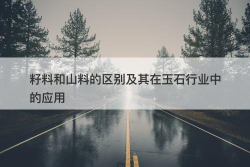 籽料和山料的区别及其在玉石行业中的应用