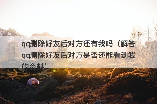 qq删除好友后对方还有我吗（解答qq删除好友后对方是否还能看到我的资料）
