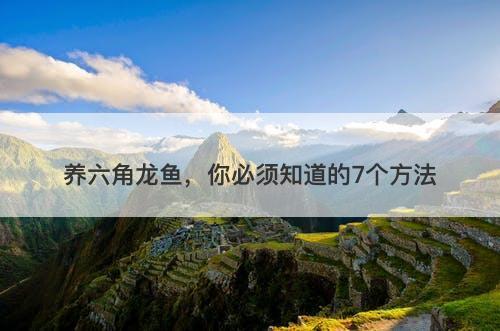 养六角龙鱼，你必须知道的7个方法