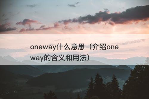 oneway什么意思(介绍oneway的含义和用法)