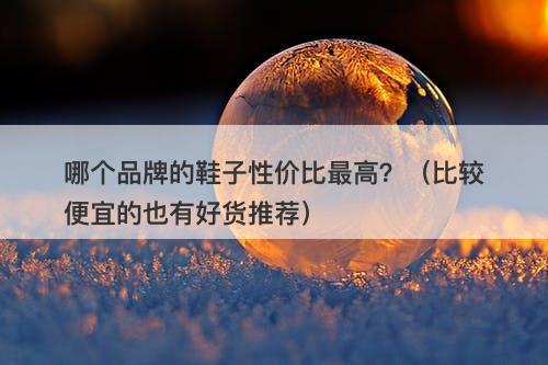 哪个品牌的鞋子性价比最高？（比较便宜的也有好货推荐）