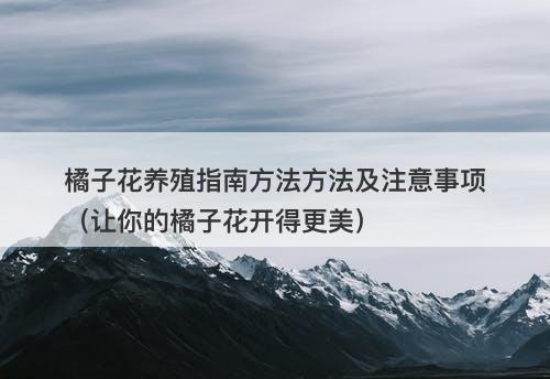 橘子花养殖指南方法方法及注意事项（让你的橘子花开得更美）