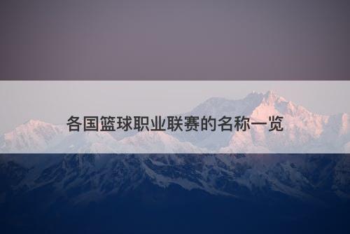 各国篮球职业联赛的名称一览