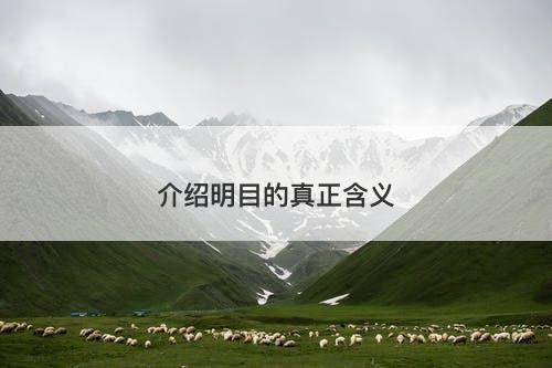 介绍明目的真正含义