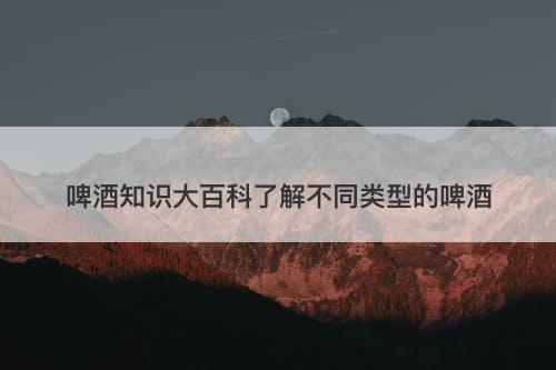 啤酒知识大百科了解不同类型的啤酒