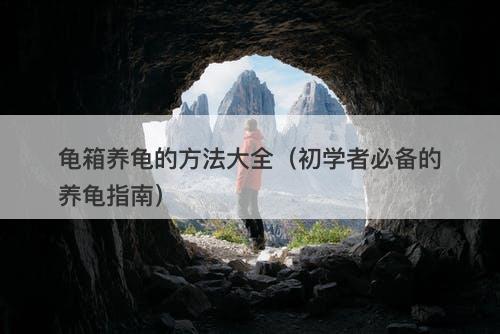 龟箱养龟的方法大全(初学者必备的养龟指南)