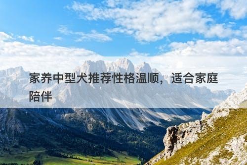 家养中型犬推荐性格温顺，适合家庭陪伴