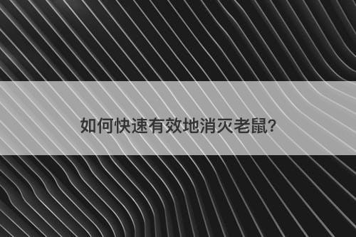如何快速有效地消灭老鼠？