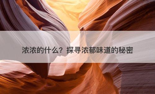 浓浓的什么？探寻浓郁味道的秘密