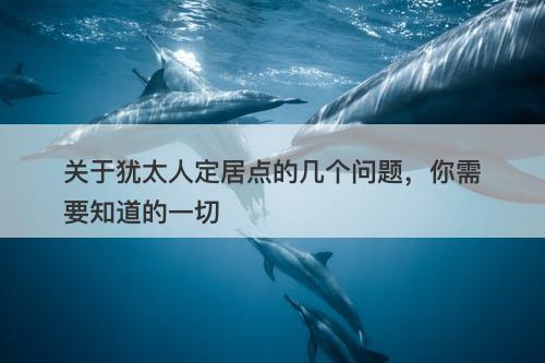 关于犹太人定居点的几个问题，你需要知道的一切