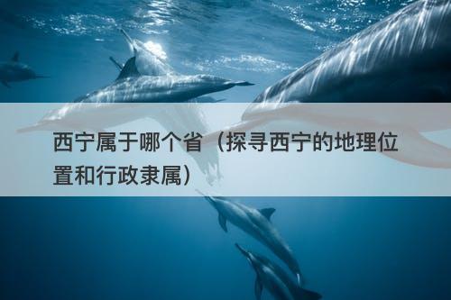 西宁属于哪个省（探寻西宁的地理位置和行政隶属）