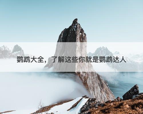 鹦鹉大全，了解这些你就是鹦鹉达人