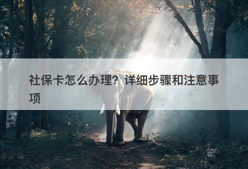 社保卡怎么办理？详细步骤和注意事项