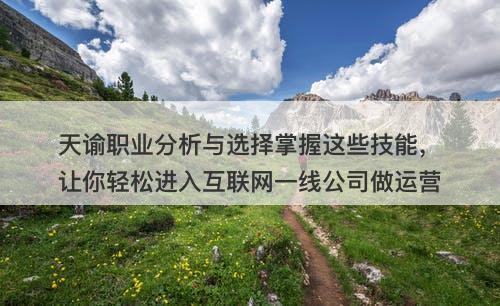 天谕职业分析与选择掌握这些技能，让你轻松进入互联网一线公司做运营