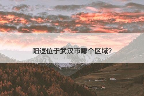 阳逻位于武汉市哪个区域？