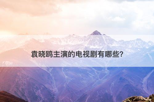 袁晓鸥主演的电视剧有哪些？