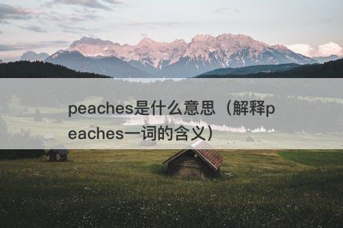 peaches是什么意思（解释peaches一词的含义）