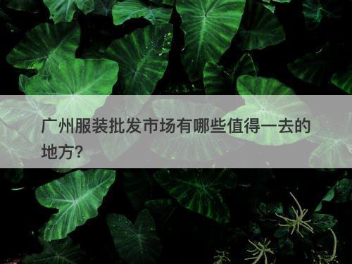 广州服装批发市场有哪些值得一去的地方？