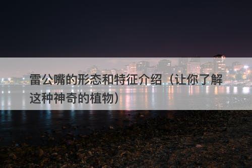 雷公嘴的形态和特征介绍（让你了解这种神奇的植物）