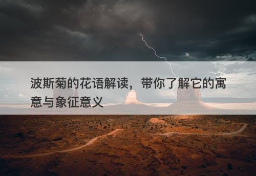 波斯菊的花语解读，带你了解它的寓意与象征意义