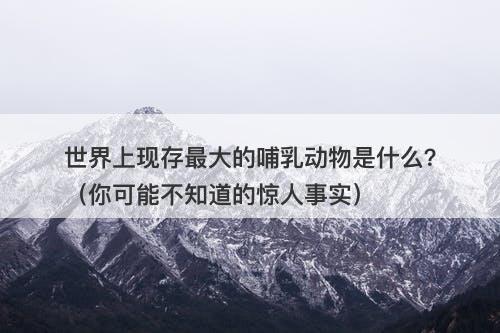 世界上现存最大的哺乳动物是什么？（你可能不知道的惊人事实）