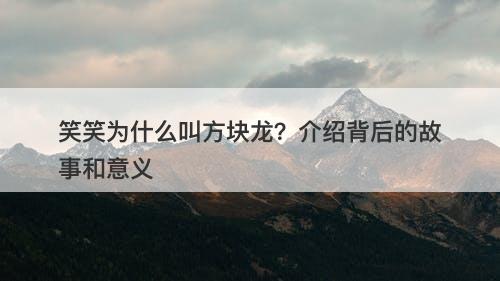 笑笑为什么叫方块龙？介绍背后的故事和意义