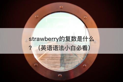 strawberry的复数是什么？（英语语法小白必看）