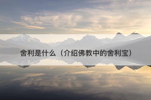 舍利是什么(介绍佛教中的舍利宝)