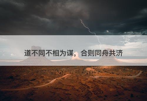 道不同不相为谋,合则同舟共济