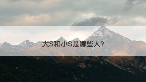 大S和小S是哪些人？