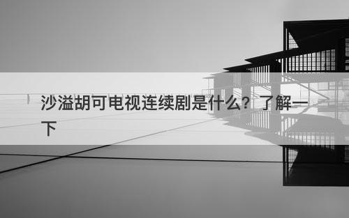 沙溢胡可电视连续剧是什么？了解一下