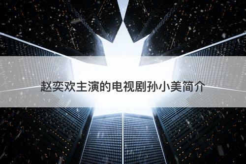 赵奕欢主演的电视剧孙小美简介