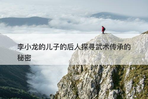 李小龙的儿子的后人探寻武术传承的秘密