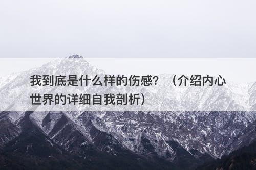 我到底是什么样的伤感？（介绍内心世界的详细自我剖析）