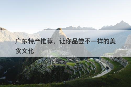 广东特产推荐，让你品尝不一样的美食文化