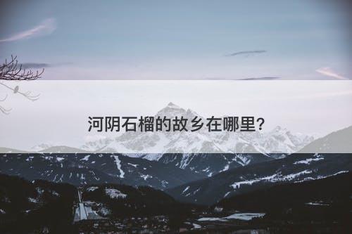 河阴石榴的故乡在哪里？
