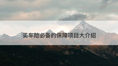 买车险必备的保障项目大介绍