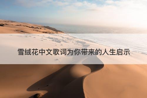 雪绒花中文歌词为你带来的人生启示