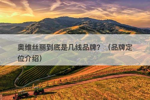 奥维丝丽到底是几线品牌？（品牌定位介绍）