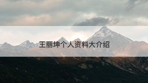 王丽坤个人资料大介绍