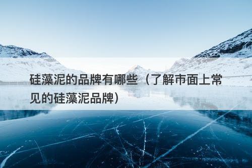 硅藻泥的品牌有哪些（了解市面上常见的硅藻泥品牌）