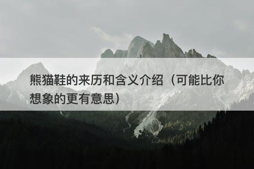 熊猫鞋的来历和含义介绍（可能比你想象的更有意思）